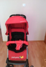 Predam sportovy kocik – fotka 2