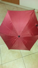 kocik cam dinamico – fotka 4